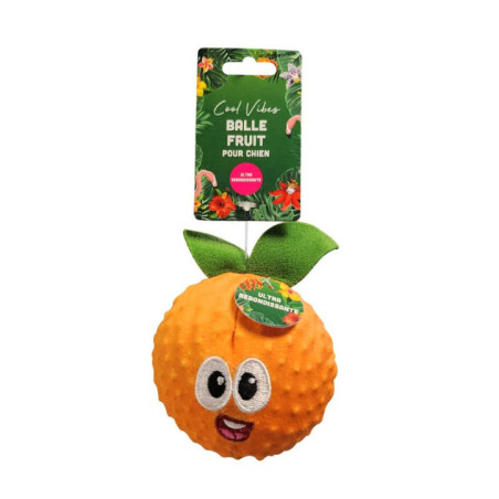 Balle fruit pour chien