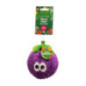 Balle fruit pour chien