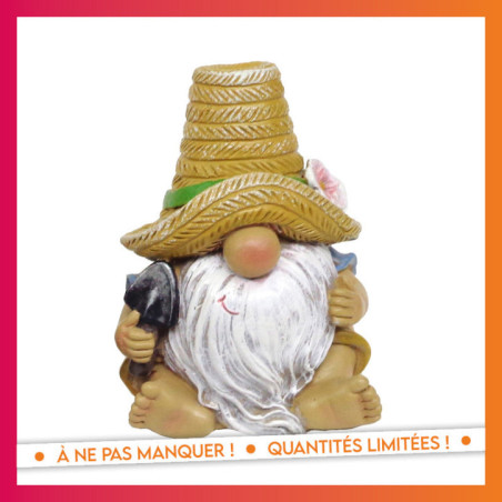Gnome plage