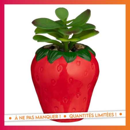 Succulente dans pot fraise