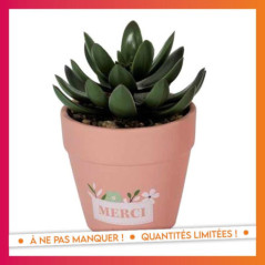 Petite plante artificelle- merci