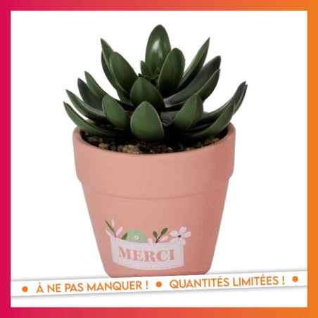 Petite plante artificelle- merci