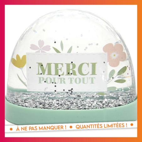 Boule a neige- merci
