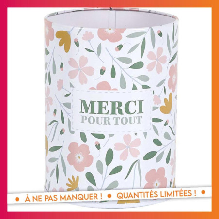 Pot a crayon- merci