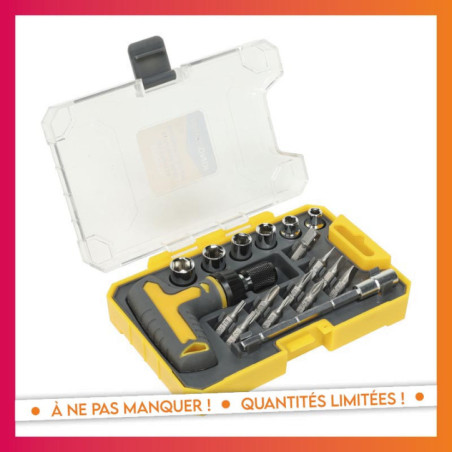 Set tournevis+douilles+embouts