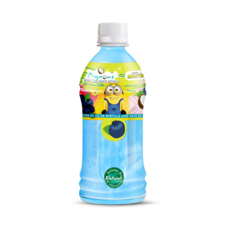 Boisson myrtille 350ml