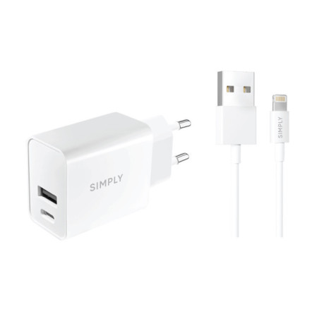 Set cable lightning + chargeur