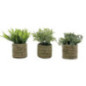 Plante artificielle pot jonc
