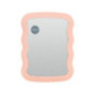 Miroir rectangle vaguerose