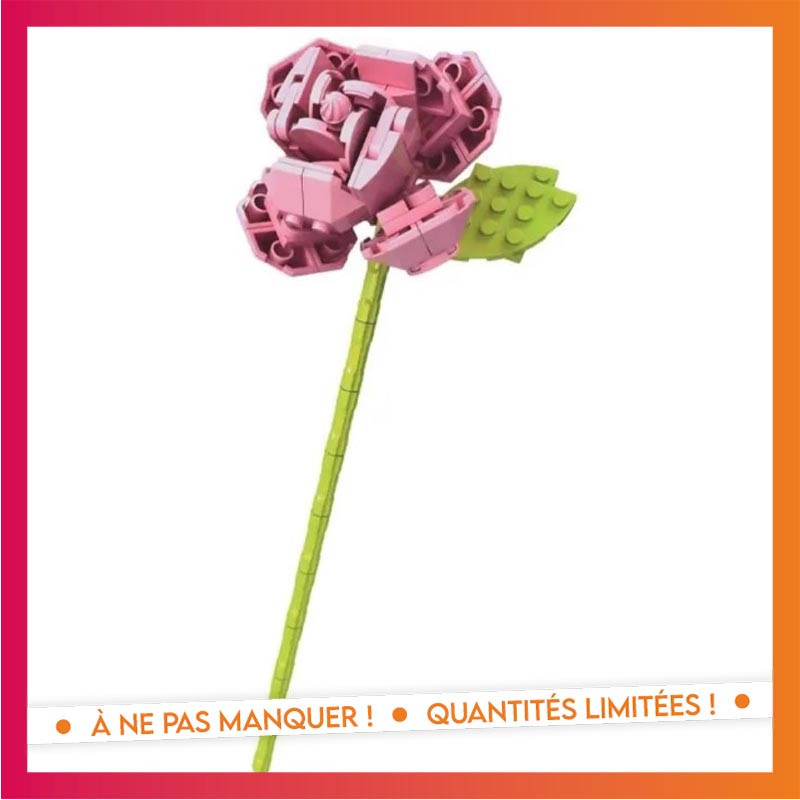Briques fleur rose