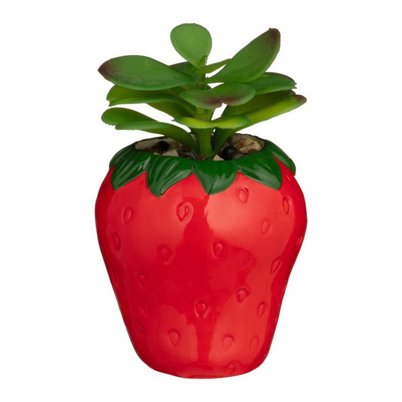 Succulente dans pot fraise