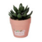 Petite plante artificelle- merci