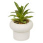 Succulente pot beton