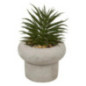 Succulente pot beton