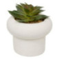 Succulente pot beton