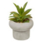 Succulente pot beton