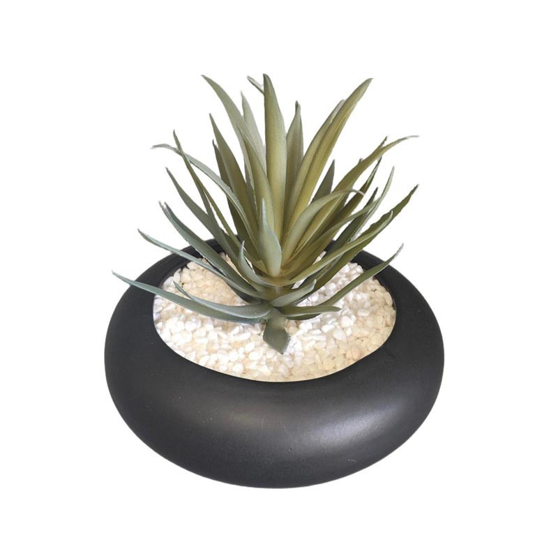 Succulente pot rond
