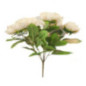 Bouquet pivoines paillete