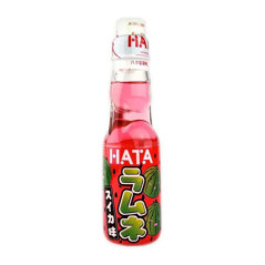 Hata boisson pasteque 20cl