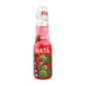 Hata boisson pasteque 20cl