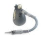 Nettoyeur a vapeur 1 000 w