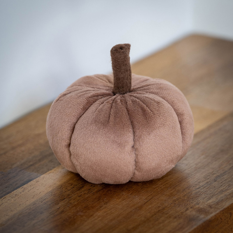Mini citrouille tissu