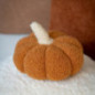 Citrouille deco