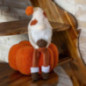 Gnome sur citrouille