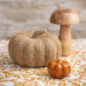 Citrouille deco jute