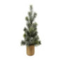 Sapin givre en pot en bois