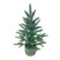 Sapin en pot 45 cm