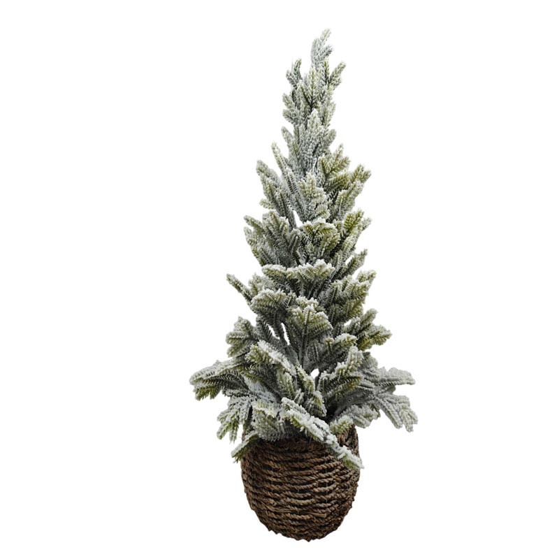 Sapin enneigne 61cm en pot rotti