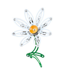 Paquerette a construire