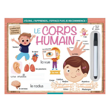 Ardoise magique : le corps humai