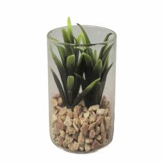 Succulente pot verre