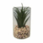 Succulente pot verre