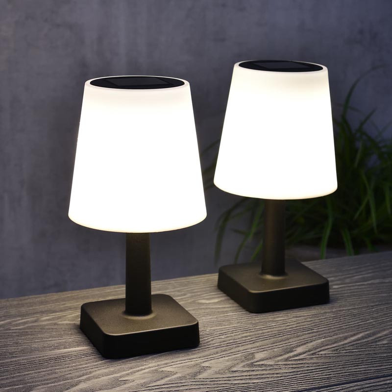 Lampes x2 solaire