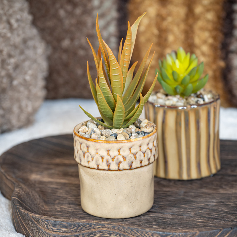 Petite plante ceramique