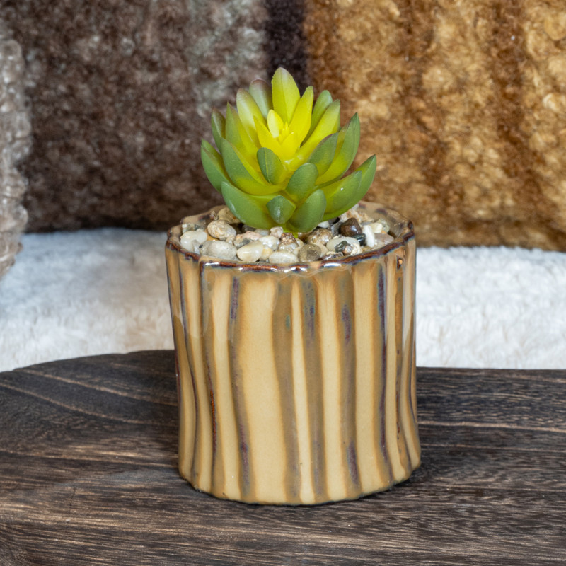 Petite plante ceramique