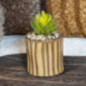 Petite plante ceramique