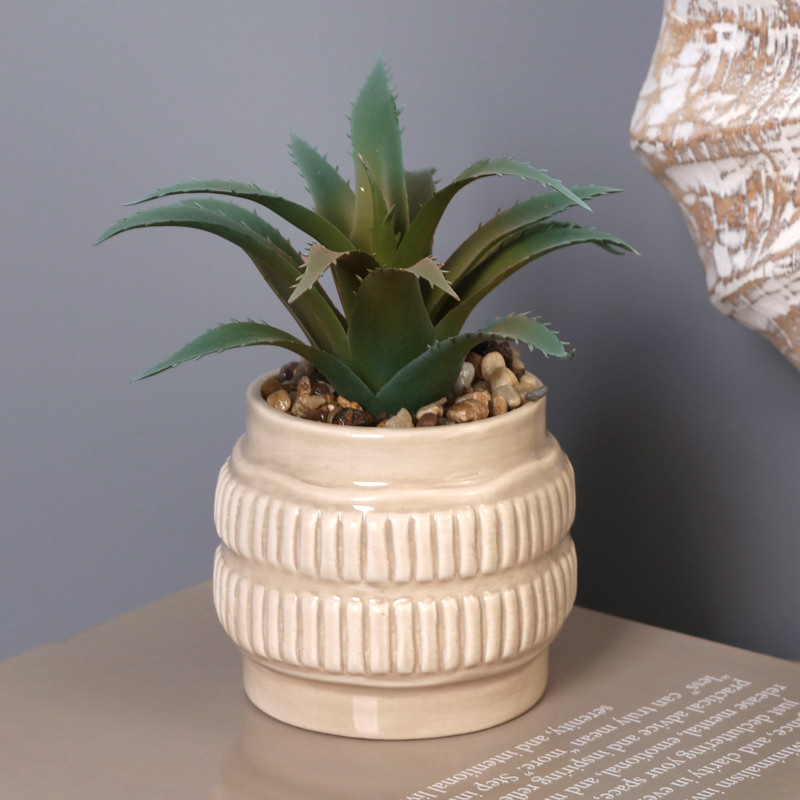 Petite plante ceramique