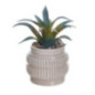 Petite plante ceramique