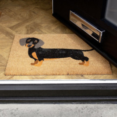 Paillasson teckel 40x60cm