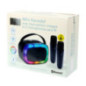 Mini enceinte karaoke