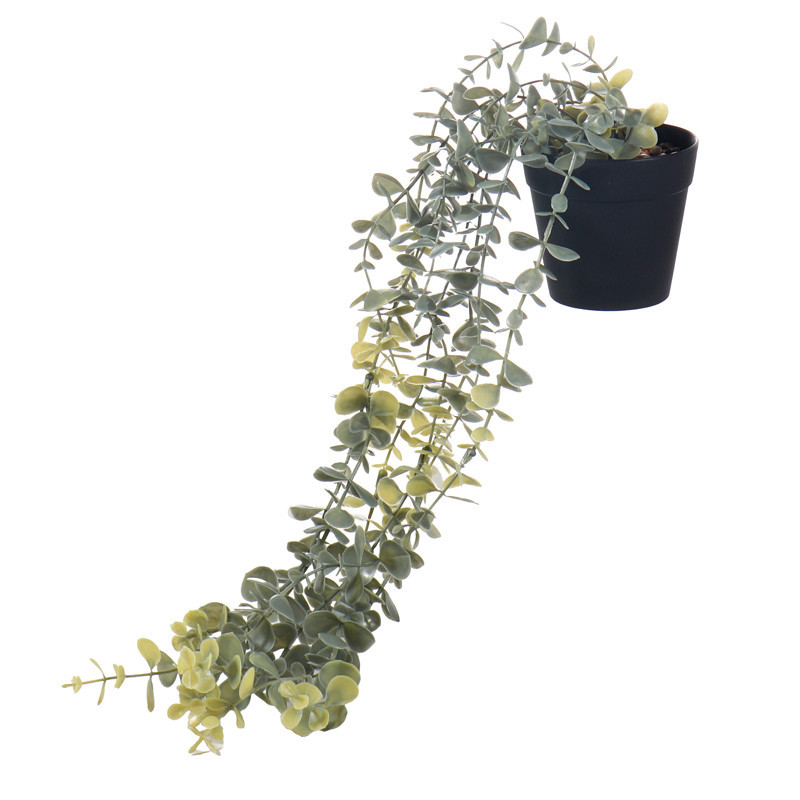 Plante artificielle tombante