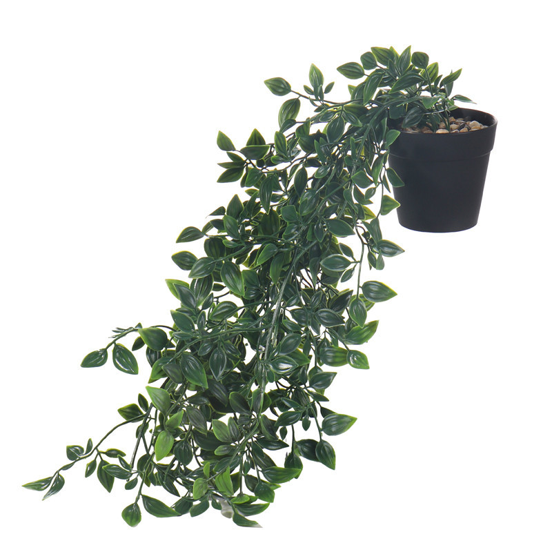 Plante artificielle tombante