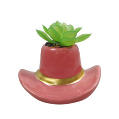 Succulente chapeau cowboy