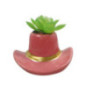 Succulente chapeau cowboy