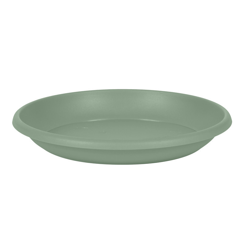 Soucoupe marina d34cm laurier