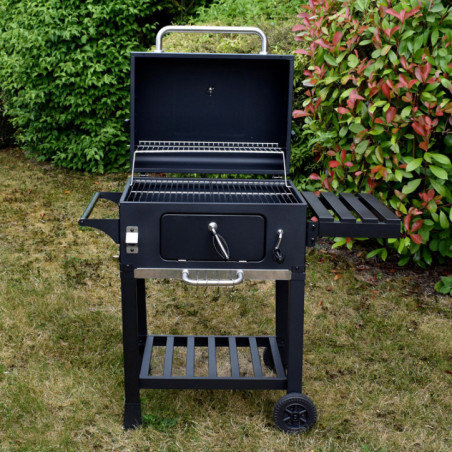 Barbecue a charbon louisiana